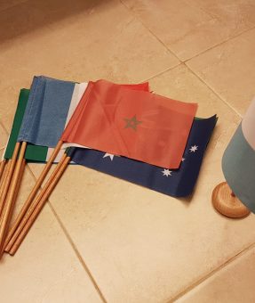 דגלים מודפסים